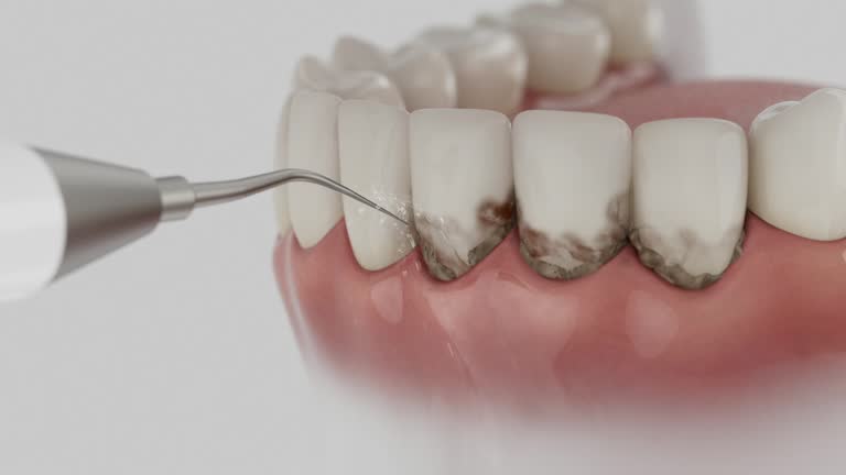 Reliable Dental contractor in Cypress Landing, NC by Dentist Open Now